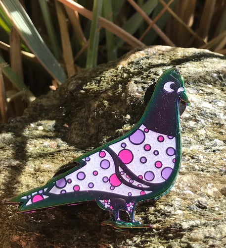 V5 Polka Pigeon