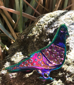 Rainbow Raw Polka Pigeon
